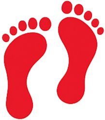 Foot